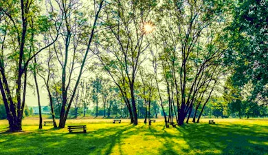 Vida verde: Nuevos parques 2022 en la Ciudad de México